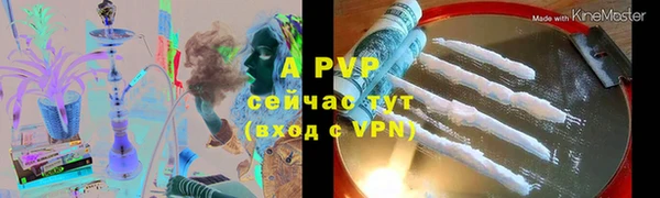 стаф Горнозаводск