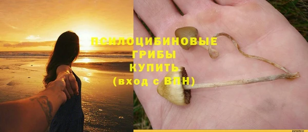 СК Вязники